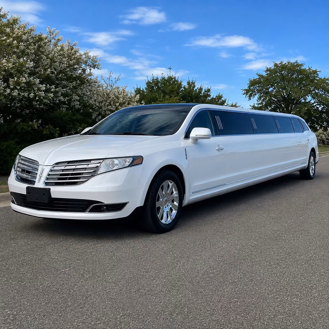 new brunswick limo exterior