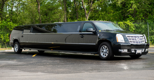 New Brunswick 20 Passenger Limo